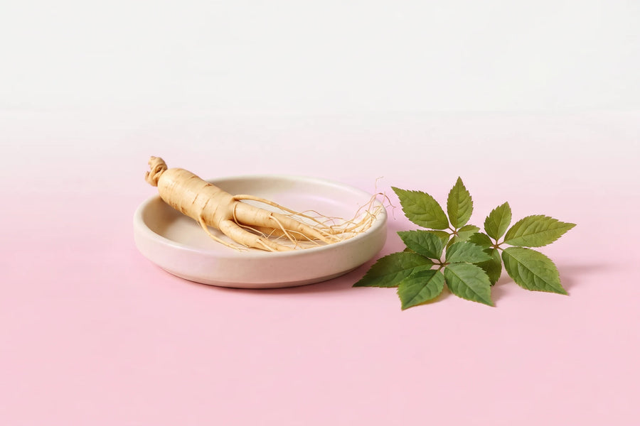 Panax Ginseng